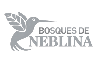 Bosques de Neblina